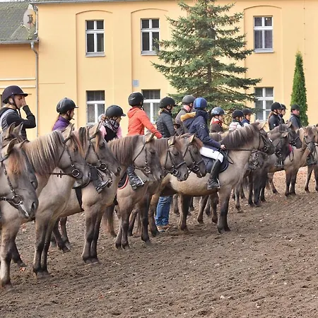 Stado Ogierow Sierakow *