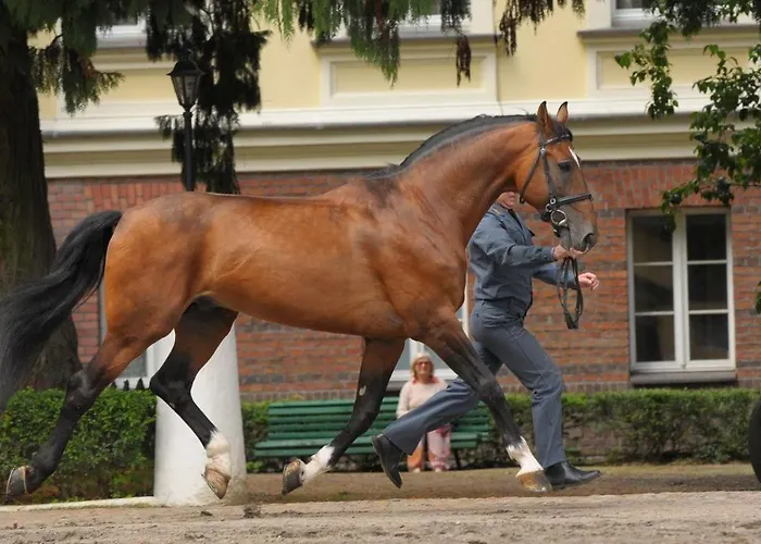 Resort Stado Ogierow