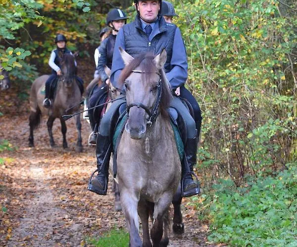 Stado Ogierow Sierakow (Greater Poland)